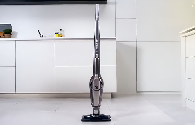 Пылесосы Electrolux Ergo Rapido