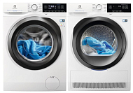 Комплект Electrolux PerfectCare 600 (EW8H359S, EW6F349BSA)