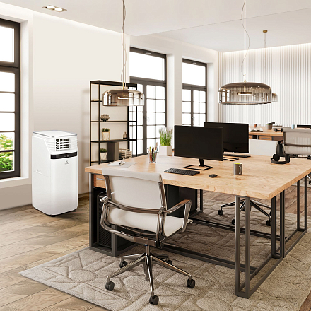 Мобильный кондиционер Electrolux EACM-22 JK/N3 preview 9