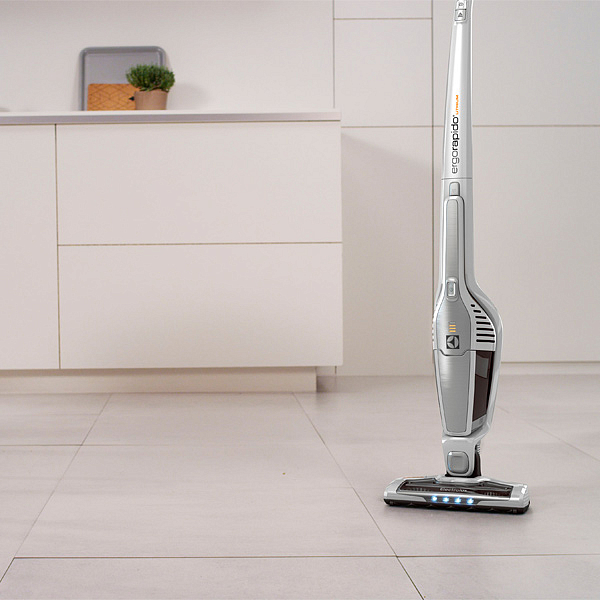 Пылесос Electrolux ERG105 preview 2