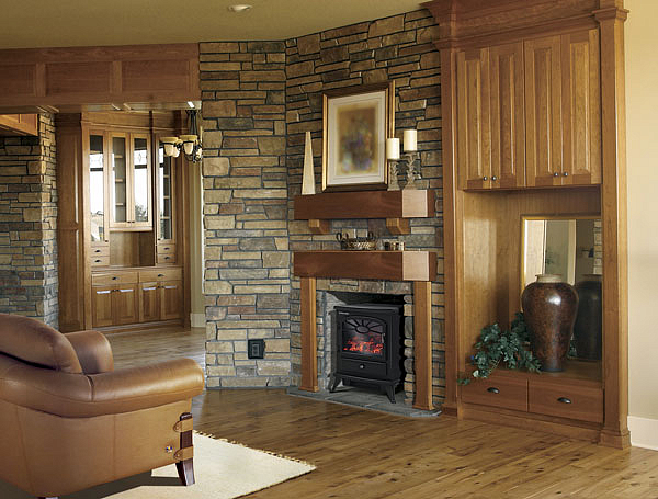 Электрический камин Electrolux EFP/F-100 preview 2