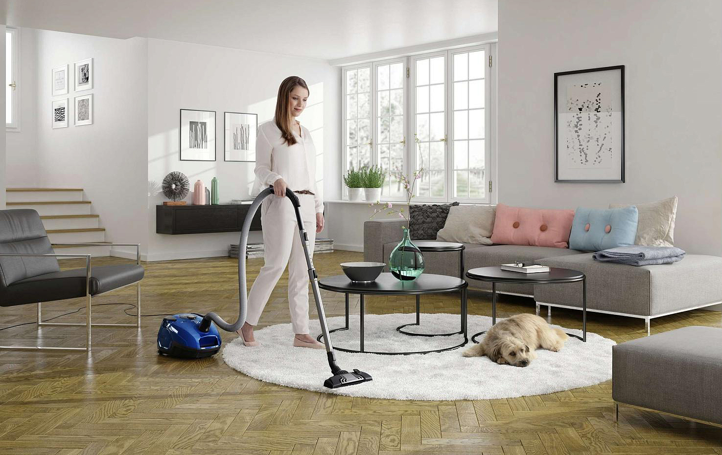 Пылесос Electrolux ZSPCLASSIC preview 3