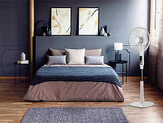 Вентилятор напольный Electrolux EFF-1000i