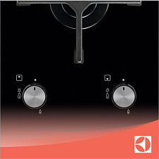 Электроподжиг