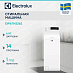 Купить Стиральная машина Electrolux EW6TN3262