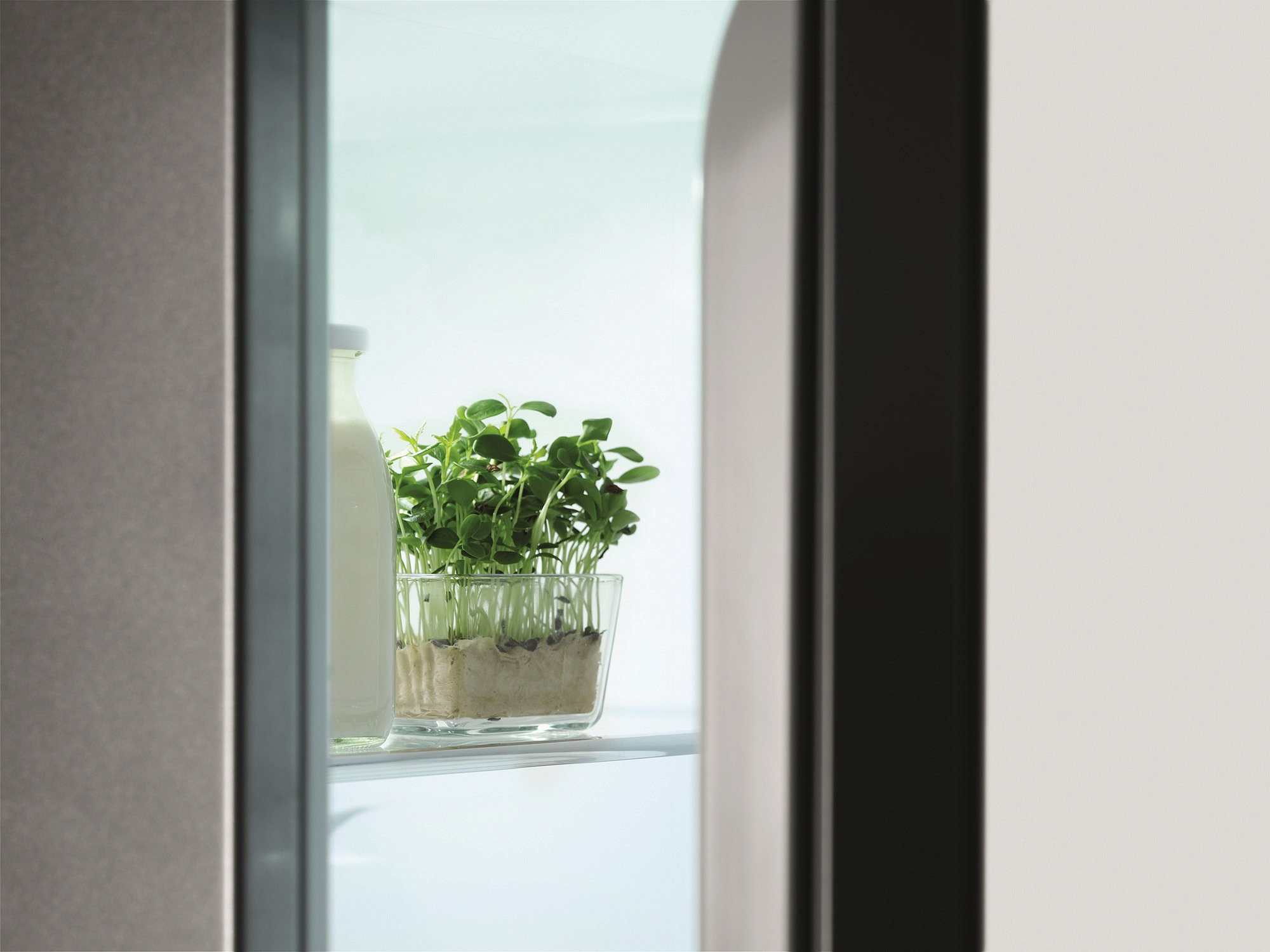 Холодильник Electrolux EN 3489 MFX preview 4