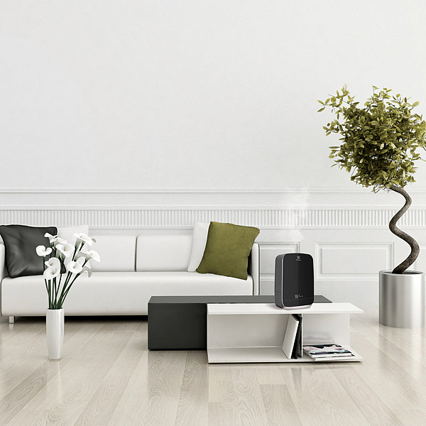 Увлажнитель воздуха Electrolux EHU-3310D preview 4