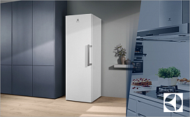 Рейтинг лучших холодильников Electrolux в 2024 году